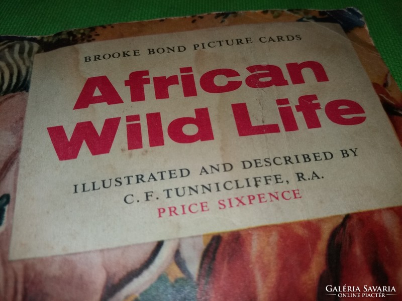 1970. Broke Bond tea képes mellékletének matricás gyűjtő albuma Afrika vadvilága a képek szerint