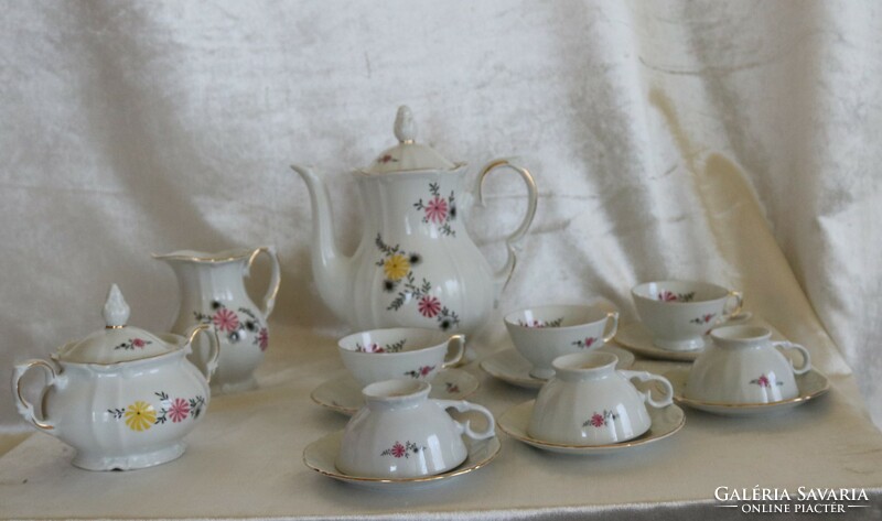 Roschütz porcelain 6-person flawless coffee / tea set in beautiful store condition