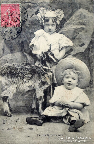 Antique photo postcard of small children with a goat