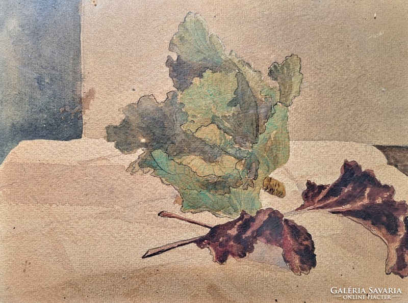 Káposzta - antik akvarell zöldség csendélet