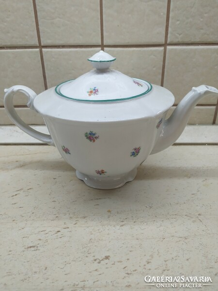Drasche porcelain, floral tea set for sale!