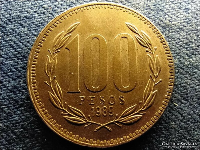 Chile 100 pesos 1989 so (id66103)