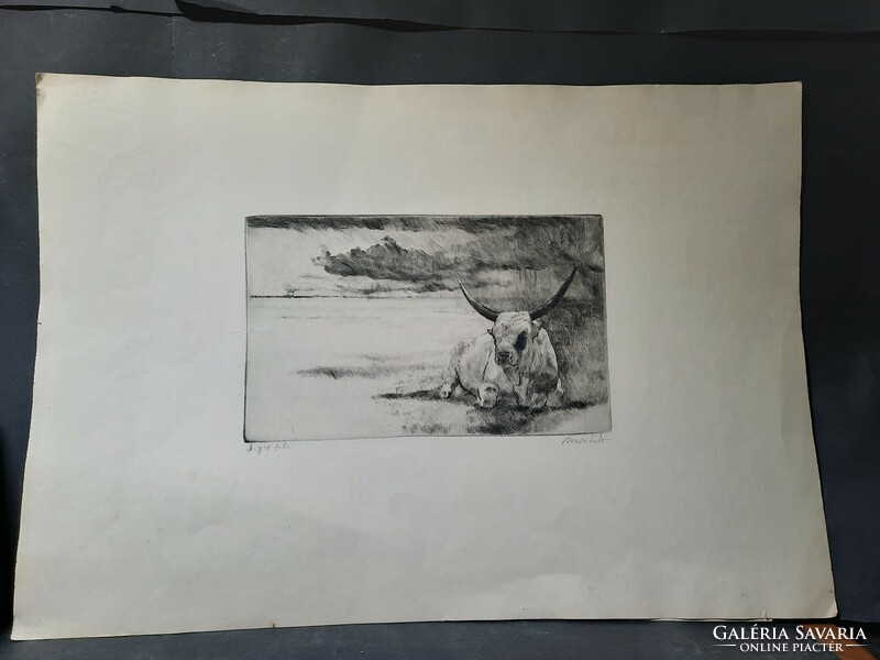 Bencze László: Magyar bika - eredeti jelzett rézkarc