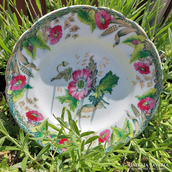 Davenport plate with ceres decor with wonderful flowers