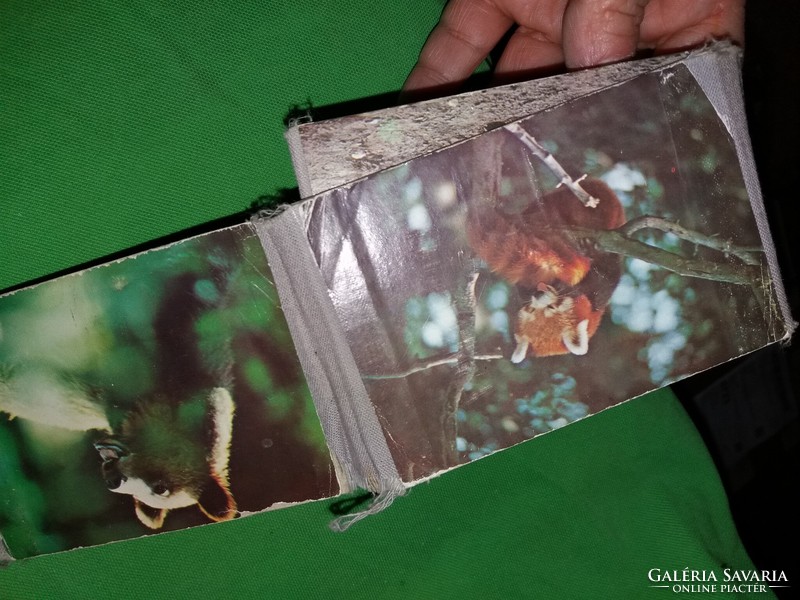 1960- s évek leporellós keménytáblás gyermek mini képes könyv VADÁLLATOK a képek szerint