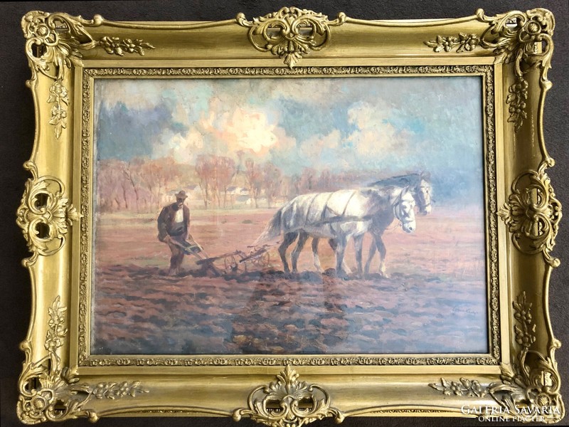 Károly Cserna plowing with two horses