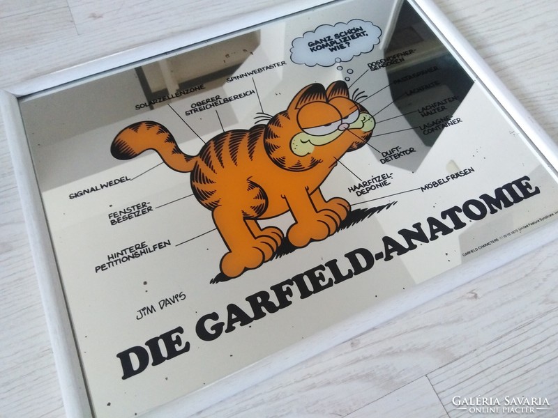 Garfield - decorative object, mirror