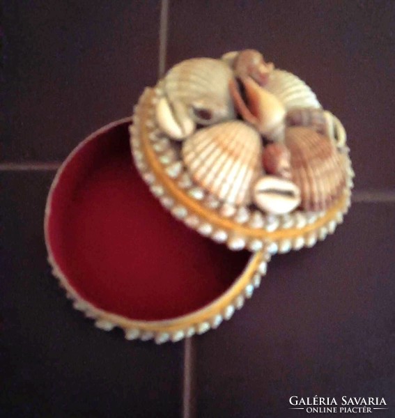 A box filled with shells is for sale