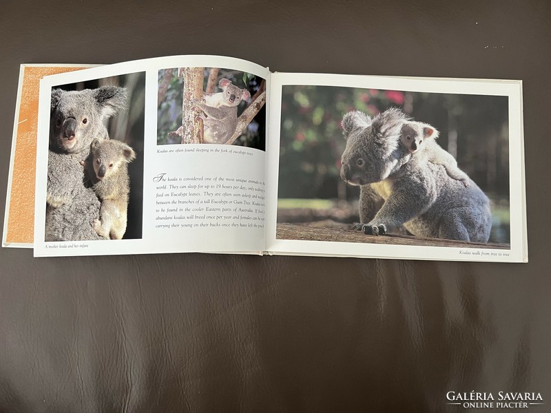 Peter Lik Ausztrália élővilága fotóalbum könyv