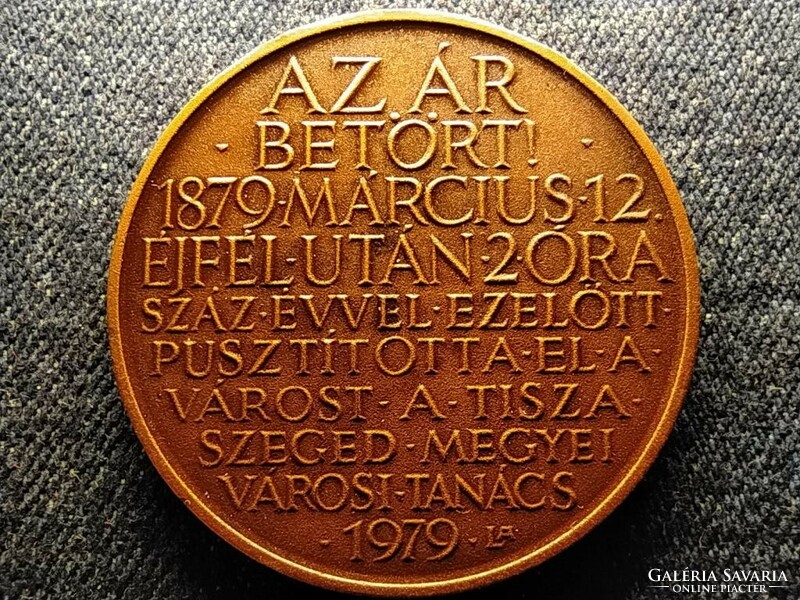 Szeged flood 1979 bronze commemorative medal (id59796)