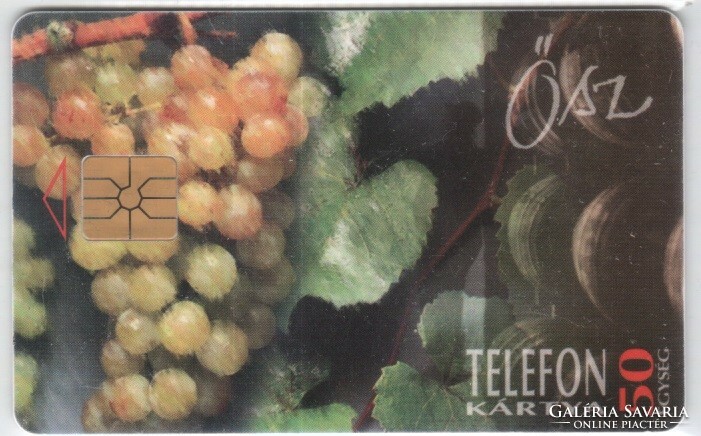 Hungarian phone card 1061 1995 autumn gem 1 no moreno lower black serial number 116.000 Pcs.
