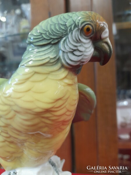 German, germany volkstedt karl ens large parrot, cockatoo porcelain figurine. 24.5 Cm