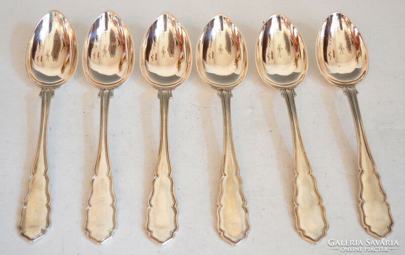 Silver 6-piece large spoon in a set (nf14)