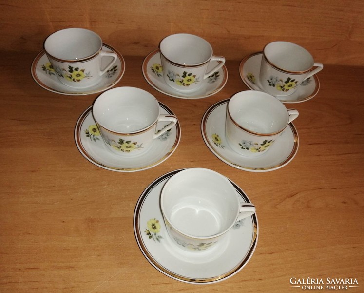Retro Raven House porcelain yellow rose coffee cup set for 6 people (z-1)