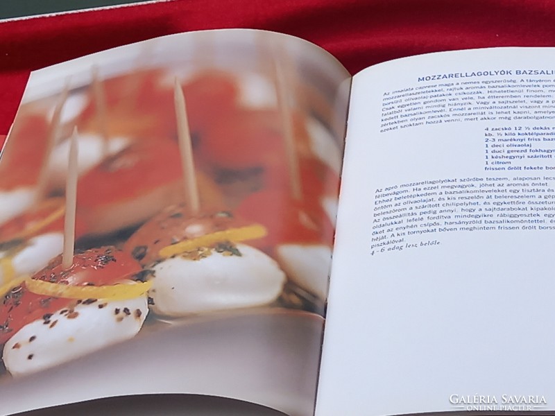 Judit Stahl's cookbook: something delicious quickly!