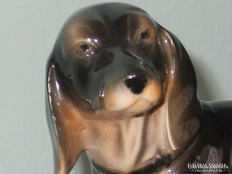 Large sitzendorf porcelain dachshund dog.