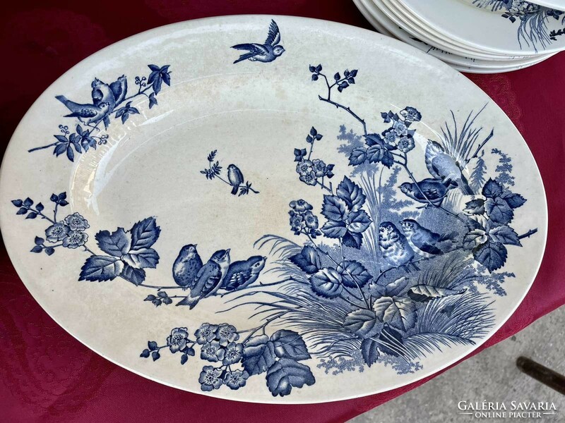 Antique faience bird dinner set