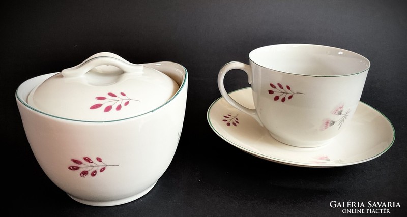 A rare floral tea set from Hollóháza