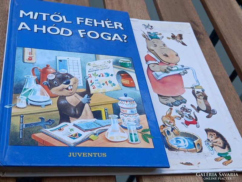 Children's educational book: toothbrushing book with fairy tale figures