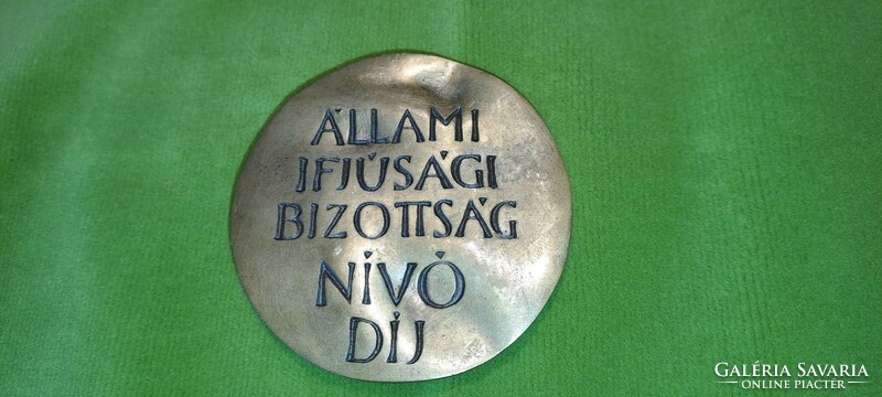 Plaque for youth