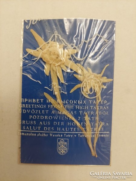 Pressed mountain grass, an old souvenir from the Tatras (even with free delivery!)