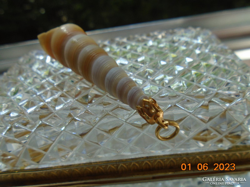 Turritella terebra ocean snail earrings with gold-plated mounting