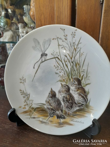 German, germany kronach staffelstein hand painted bird porcelain wall plate. 19.5 Cm.