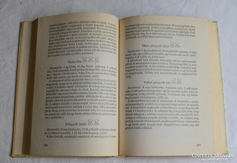 The family cookbook, f. Nagy Angela Minerva 1981 cook recipe book