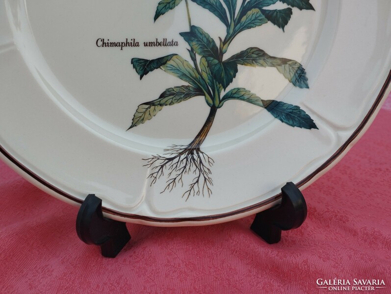 Növényhatározós porcelán nagy lapos kínáló tál, asztalközép