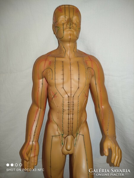 Vintage SEIRIN 66 cm magas  akupunktúrás pontokat jelölő férfi baba üreges gumiból egészség szobor