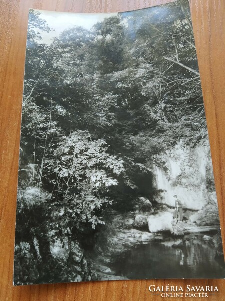 Bakony landscape, Cuha Valley, from 1960