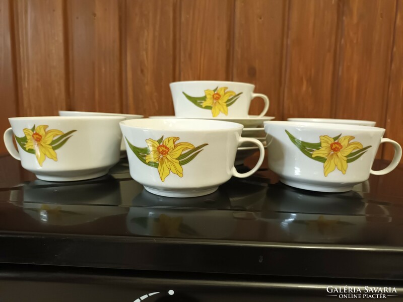 Lowland narcissus teacups
