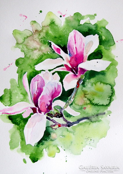 Magnolia - watercolor painting / magnólia - akvarell festmény