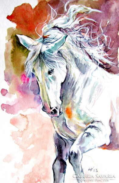 Andalusian horse - watercolor painting / andalúz ló - akvarell festmény