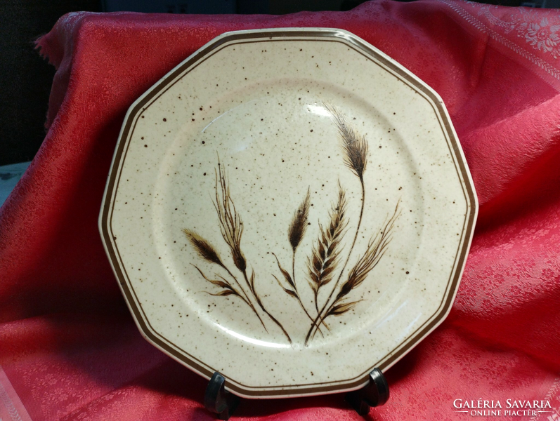 Large flat plate with ear of corn pattern for replacement, 2 pieces