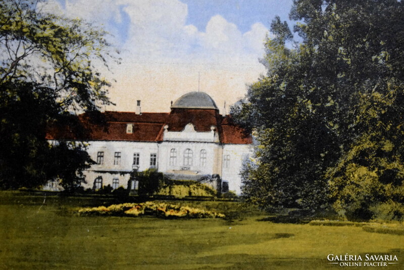 Gyula. Gróf Almásy Dénes kastélya  - színezett  fotó képeslap  1920