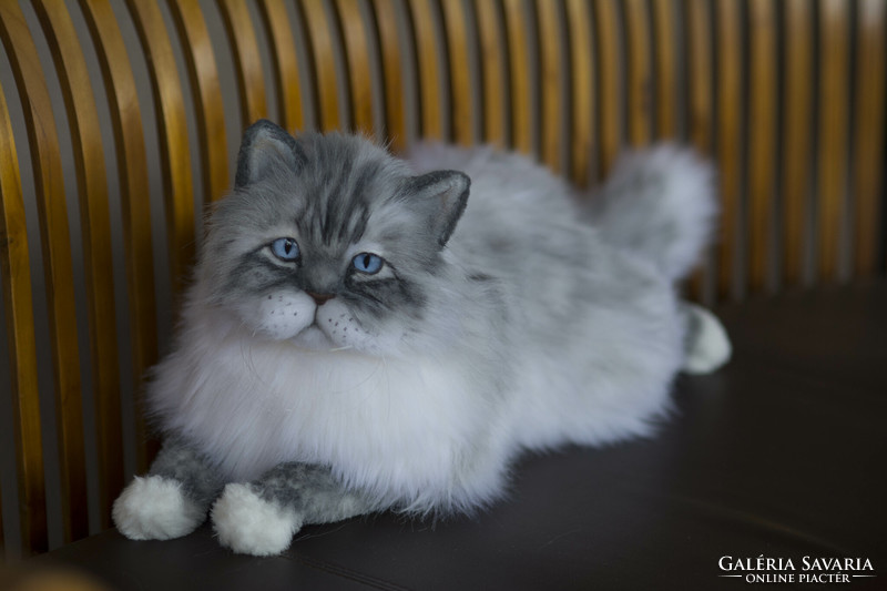 Lifelike Persian cat plush portrait, realistic Persian kitten plush replica to order