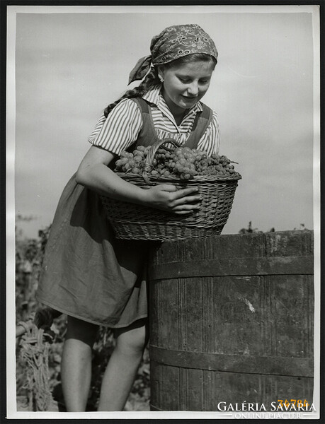 Nagyobb méret, Szendrő István fotóművészeti alkotása, lány, szőlővel, 1930-as évek. Eredeti, pecsétt