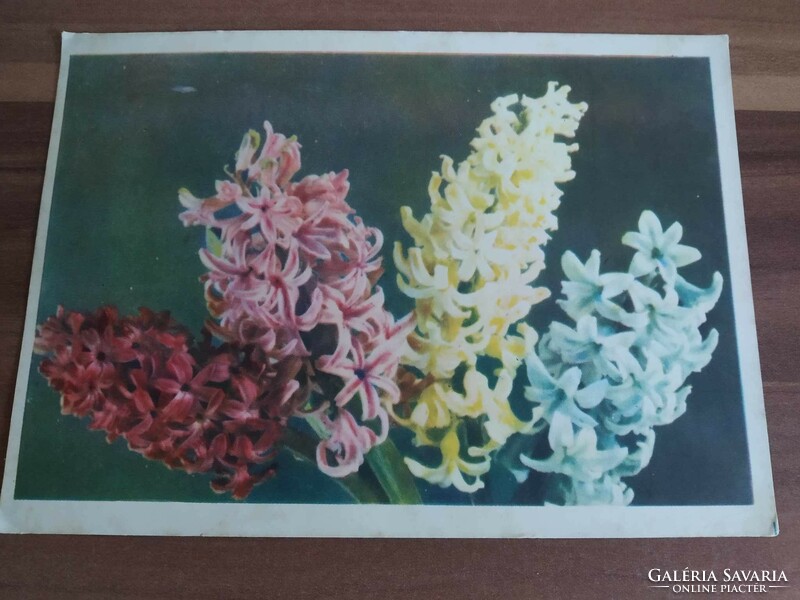 Régi orosz virágos képeslap, használt