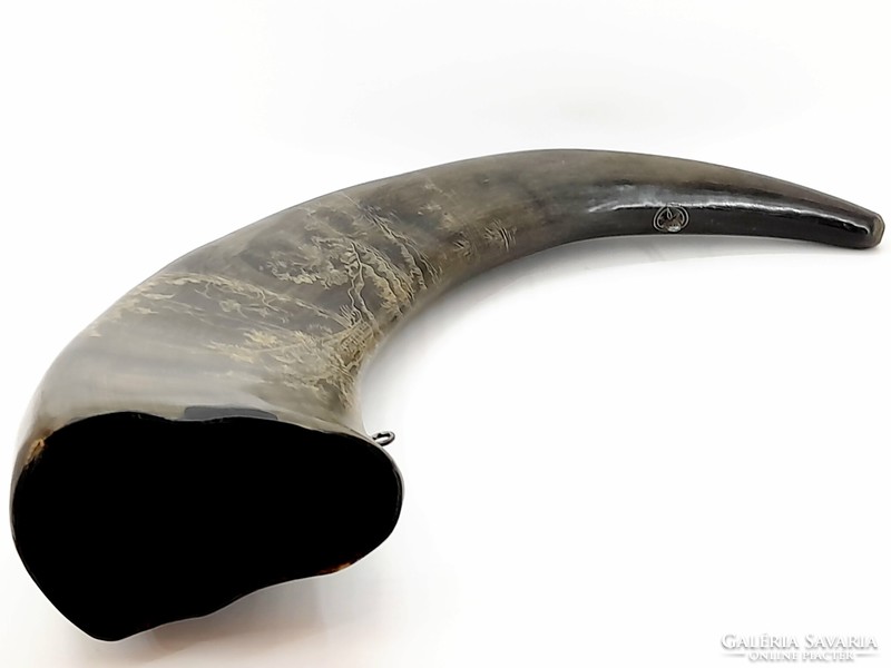 Carved buffalo horn, buffalo tusks, 41 cm