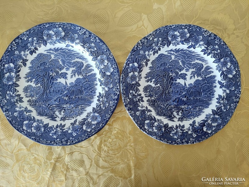 Wegdwood English porcelain faience plates with sticker decoration