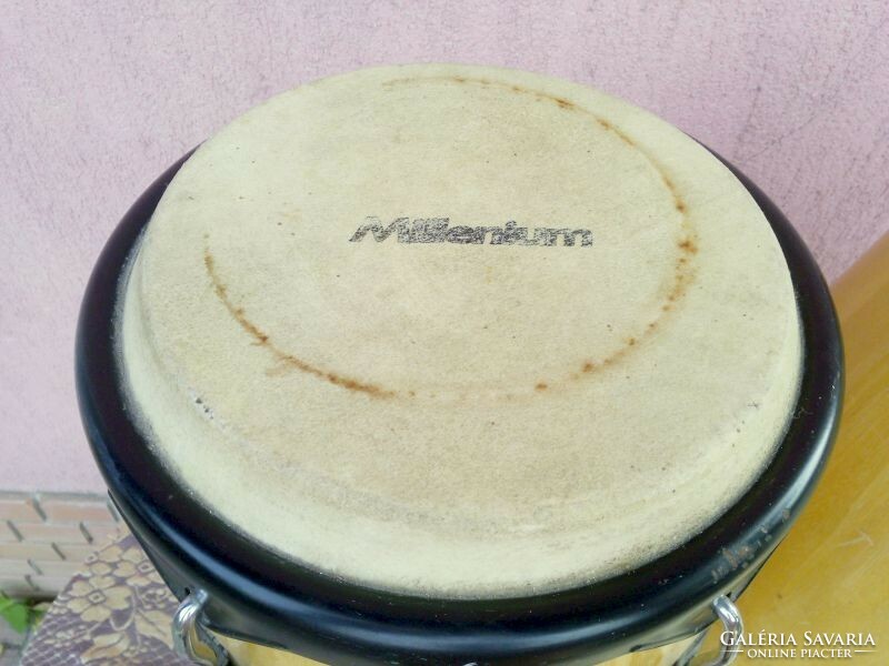 Millennium conga duo. Eucalyptus wood body, goatskin membrane, suitable for a musical instrument collection