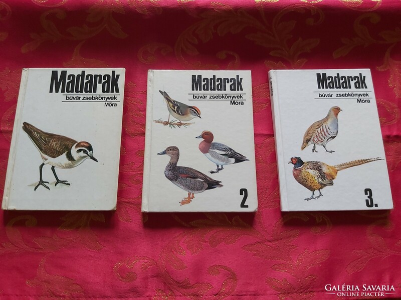 Birds 1-2-3 rare diver pocket books