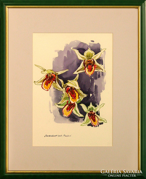 Miklós Bodor (1925-2010) Dendrobium - framed 54x44cm - artwork: 34x24cm - jury number: 2207/556