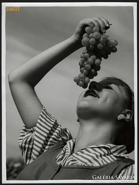 Nagyobb méret, Szendrő István fotóművészeti alkotása. Szüretelő lány szőlőfürttel, zsáner, 1930-as