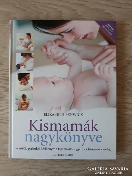 Elizabeth fenwick - big book of expectant mothers