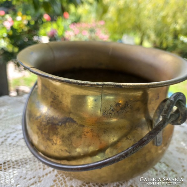 Copper plant pot