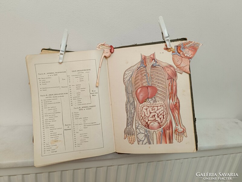 Antik orvosi könyv szakirodalom  francia nyelvű starožitné lekárske 207 7659