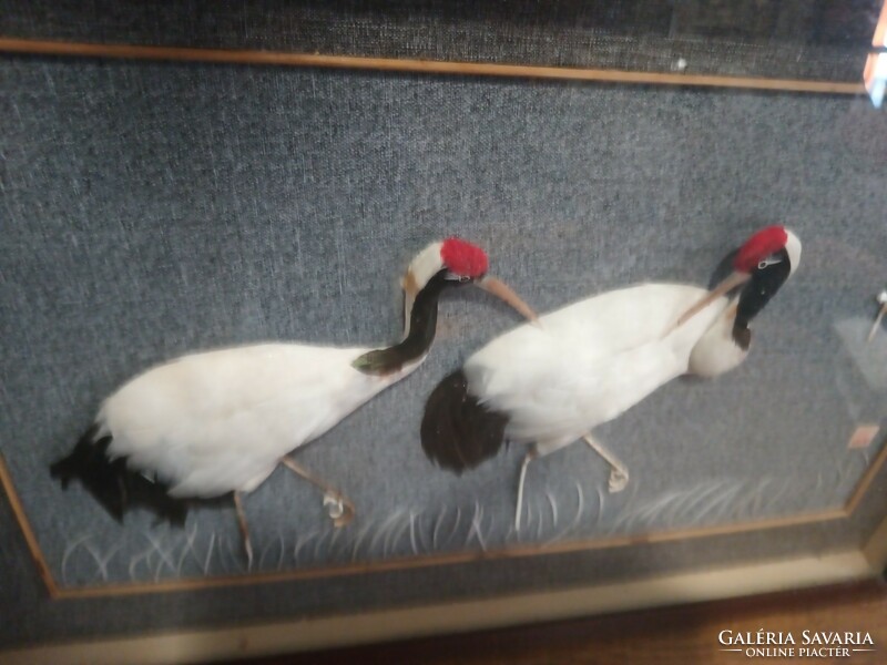 Chinese 3-dimensional crane bird image. Negotiable!
