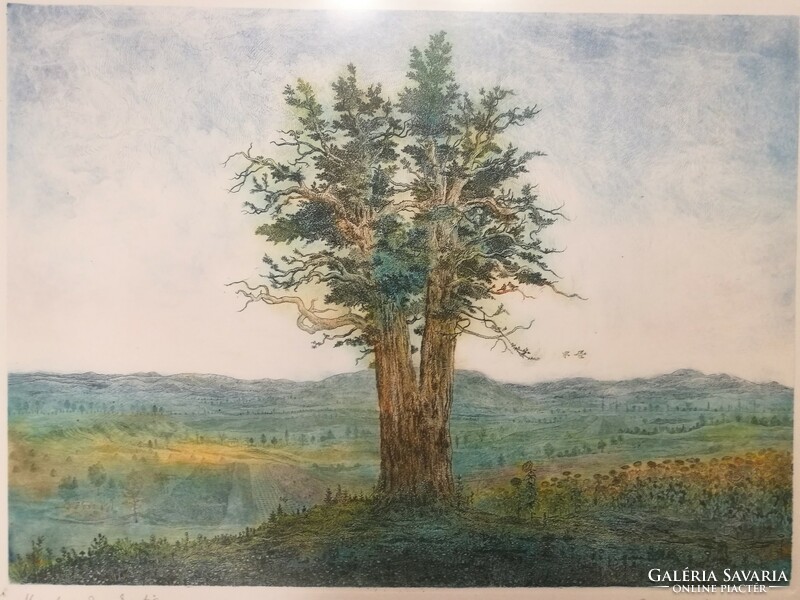 Gross arnold bird garden/solitary oak etching, rarity